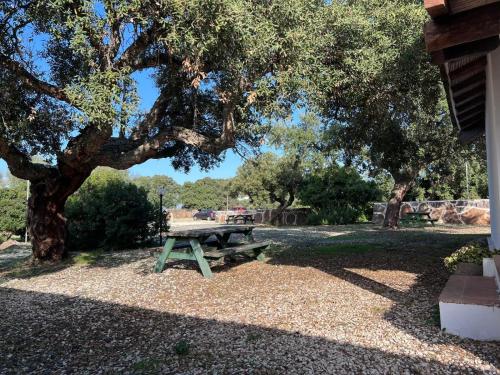 a picnic table under a tree in a park at Agriturismo Conca' e Janas in Dorgali