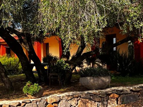 a table and chairs under a tree in front of a house at Agriturismo Conca' e Janas in Dorgali