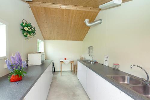 A kitchen or kitchenette at Sjøholt Camping