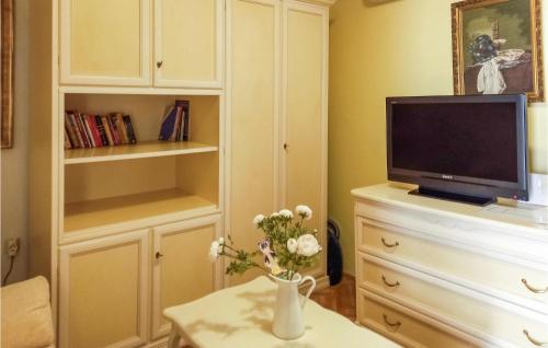 una sala de estar con TV y un jarrón de flores sobre una mesa en Amazing Apartment In Palit With Kitchen en Palit