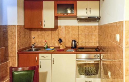 cocina pequeña con fregadero y fogones en Amazing Apartment In Palit With Kitchen en Palit