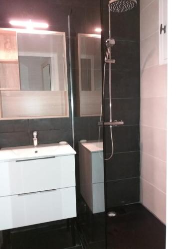 une salle de bain avec une douche, un lavabo et un miroir dans l'établissement Le Paesolu, à Grosseto-Prugna