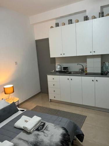 Kuchyň nebo kuchyňský kout v ubytování HESTIA Studio Downtown Nicosia