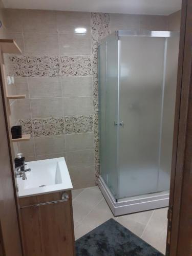 bagno con doccia e lavandino di Apartman JOVANA a Vršac