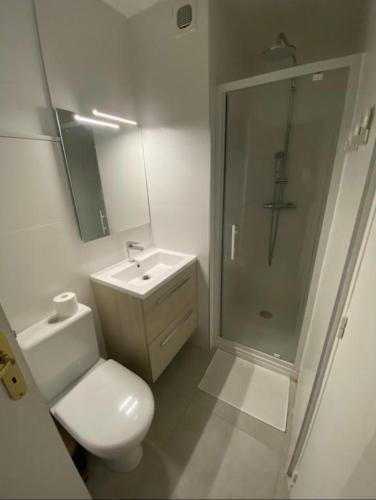 une salle de bain avec toilettes, lavabo et douche dans l'établissement PALAVAS Acces direct plage LM Sud, à Palavas-les-Flots