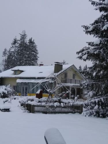 Ferienwohnungen Haubner في ليتشاو: منزل مغطى بالثلج مع سياج وأشجار