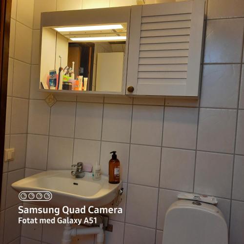 Koupelna v ubytování Naturnära dubbelrum B&B i Uppsala Ramstalund