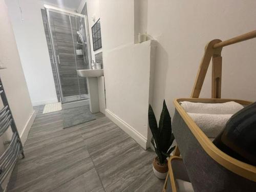 a white room with a bed and a plant in it at Lovely 2 Bed On Tower bridge in London