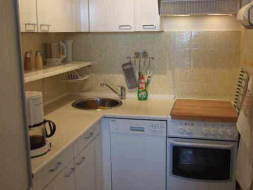 eine Küche mit einer Spüle und einer Arbeitsplatte in der Unterkunft Ferienwohnung "Fördekieker" in Ulstrupfeld