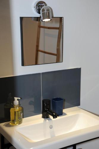 a bathroom sink with a mirror and a soap dispenser at Le 1881 Ampuis in Ampuis