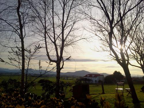 a group of trees and a white house in a field at La Posada de Langre in Langre