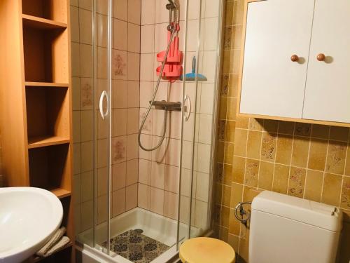 a bathroom with a shower with a sink and a toilet at Studio Samoëns, 1 pièce, 2 personnes - FR-1-629-77 in Samoëns