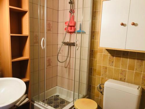 une salle de bain avec une douche avec un lavabo et des toilettes dans l'établissement Charmant studio à Samoëns, résidence avec ascenseur - FR-1-629-77, à Samoëns