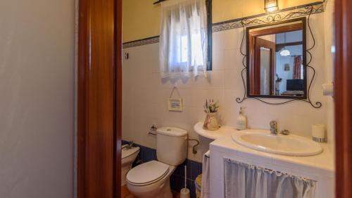 a bathroom with a toilet and a sink and a mirror at Colladopino La Puebla de Los Infantes by Ruralidays in La Puebla de los Infantes