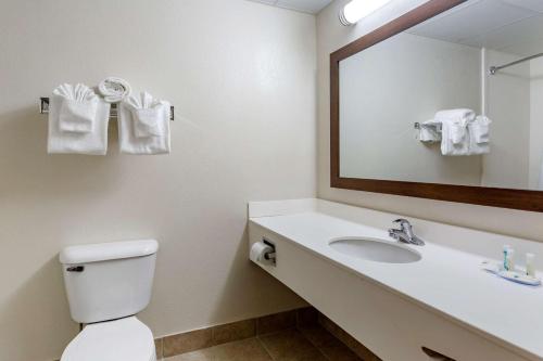 a bathroom with a toilet and a sink and a mirror at Quality Inn in Ocoee