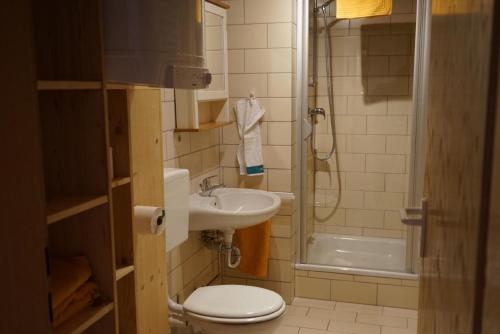a bathroom with a toilet and a sink and a shower at Ferienhaus Napoleon in Waldmünchen