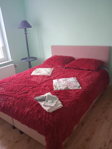 een slaapkamer met een rood bed met rode lakens en een lamp bij Sweet home vintage in Charleroi