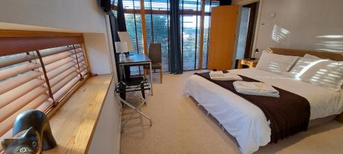 South House – Photos 3