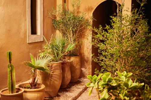 a group of potted plants on the side of a building at Kasbah Flilou in Aït Ougliff