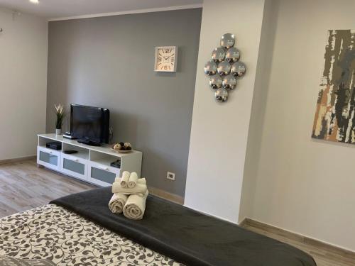 BOUTIQUE Apartment