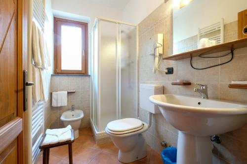 a bathroom with a sink and a toilet and a shower at Hotel Casalpina Don Barra in Pragelato