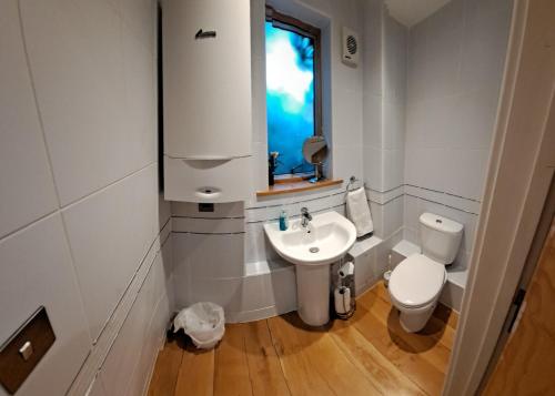 a bathroom with a sink and a toilet and a window at South House in Winchester