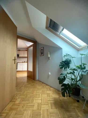 a hallway with a skylight and a plant in a room at Grazer Schwalbe in Graz