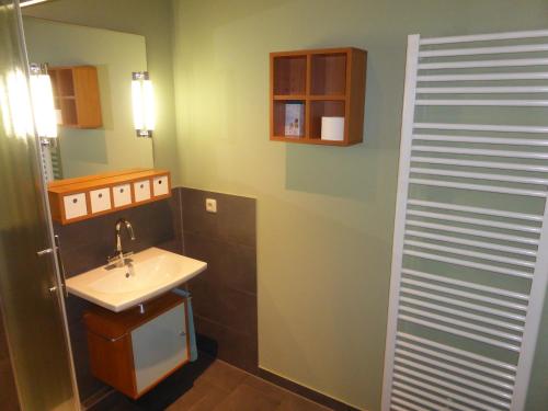 a small bathroom with a sink and a mirror at Gästezimmer in einer Ferienwohnung Thiele in Roßwein in Roßwein