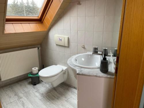 a small bathroom with a toilet and a sink at Pension Grandel in Kottmar