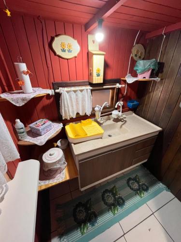 a bathroom with a sink and a counter with turtles in it at Casa Estrela Guia in Urubici