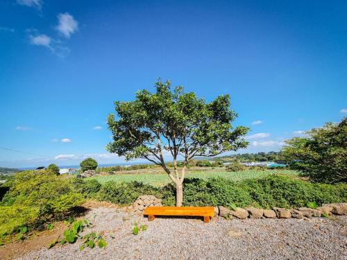 a bench sitting under a tree in a field at Fongnang Eyeom in Jeju