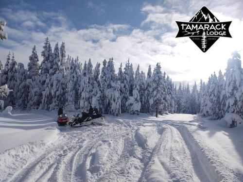 Tamarack Lodge at Tollgate – Photos 2