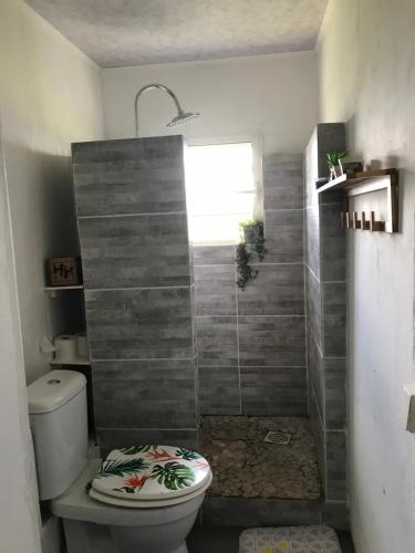 a bathroom with a toilet and a shower at chez Margot in Le Tampon