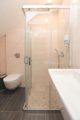 テルシェイにあるBranšaのシャワー、浴槽、トイレ付きのバスルーム