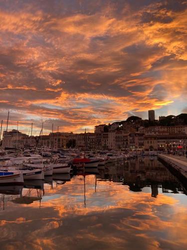 Beau meublé 3 pièces 60 m² Cannes Le Suquet photo 17