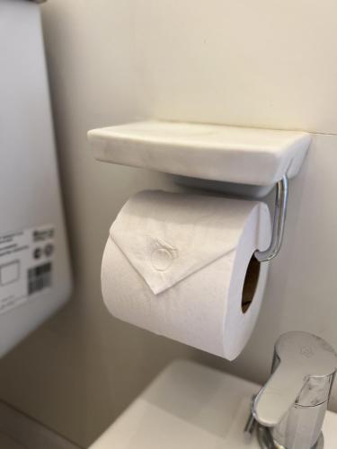 a bathroom with a sink and a roll of toilet paper at Irová Apart Hotel in Posadas