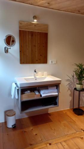 a bathroom with a sink and a mirror at Landhaus Bad Hopfreben in Schoppernau