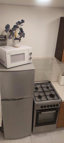 a kitchen with a stove and a microwave at Pakeliui in Kaunas