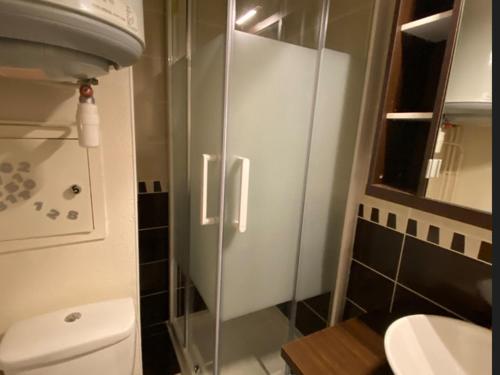 a bathroom with a shower with a toilet and a sink at Studio central avec balcon et vues sur pistes - 3 couchages - FR-1-557-44 in Les Adrets