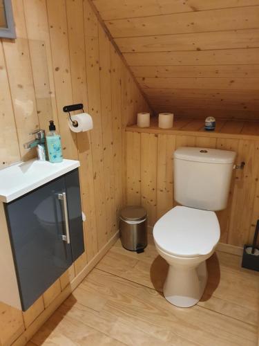 La salle de bains est pourvue de toilettes et d'un lavabo. dans l'établissement Gite de la Daniere, à Dangy