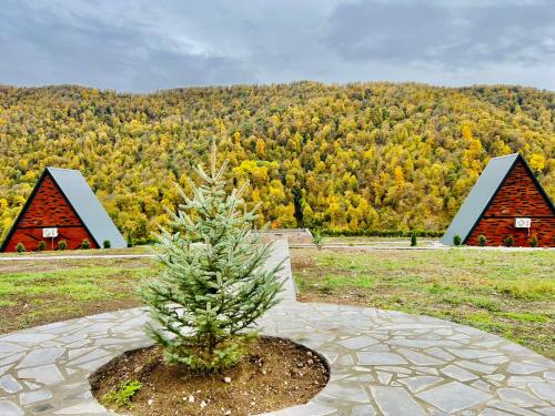 a small christmas tree in a pot in front of two barns at Green Villa Resort Grey in Dilijan