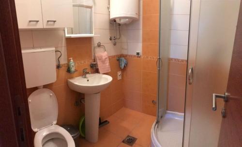 ein Bad mit einem WC, einem Waschbecken und einer Dusche in der Unterkunft Apartmani IVANA in Vrnjačka Banja