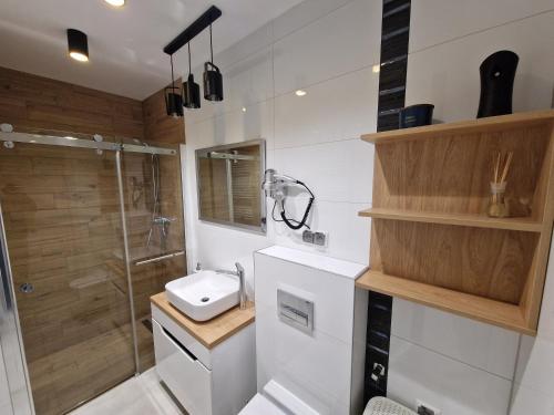a bathroom with a shower and a toilet and a sink at Waryńskiego 3c Apartament Skalny Widok in Szklarska Poręba