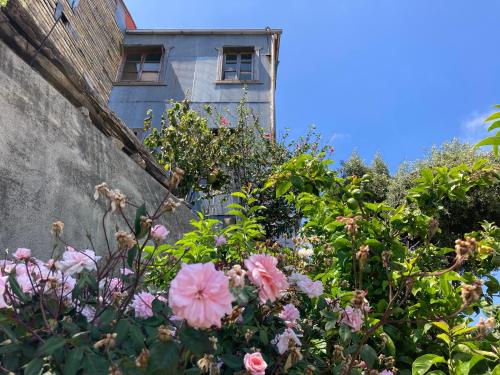 a garden with pink flowers in front of a building at Hostal brons in Valparaíso