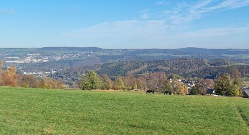 a green field with two horses in the distance at Ferienwohnung Bergidyll in Schwarzenberg (Erzgebirge)
