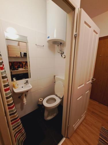 mała łazienka z toaletą i umywalką w obiekcie Astoria Central Appartement 10 minutes to downtown w Wiedniu