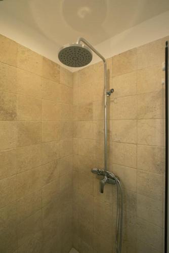 a shower with a shower head in a bathroom at Grand studio lumineux calme au coeur des vignes in Montaud