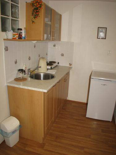 a small kitchen with a sink and a trash can at Penzion u muzea in Příbram