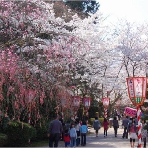 a group of people walking down a street with flowering trees at Kyukamura Oku-Daisen in Daisen