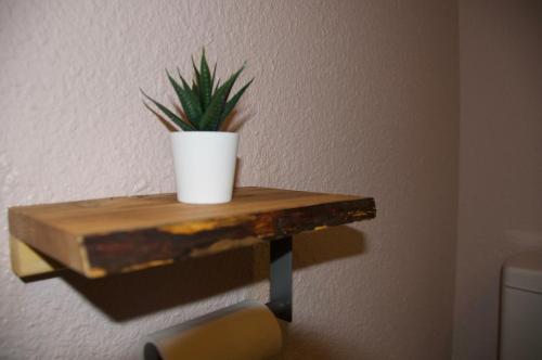 a plant sitting on top of a wooden table at Maison Georges Couthon in Orcet